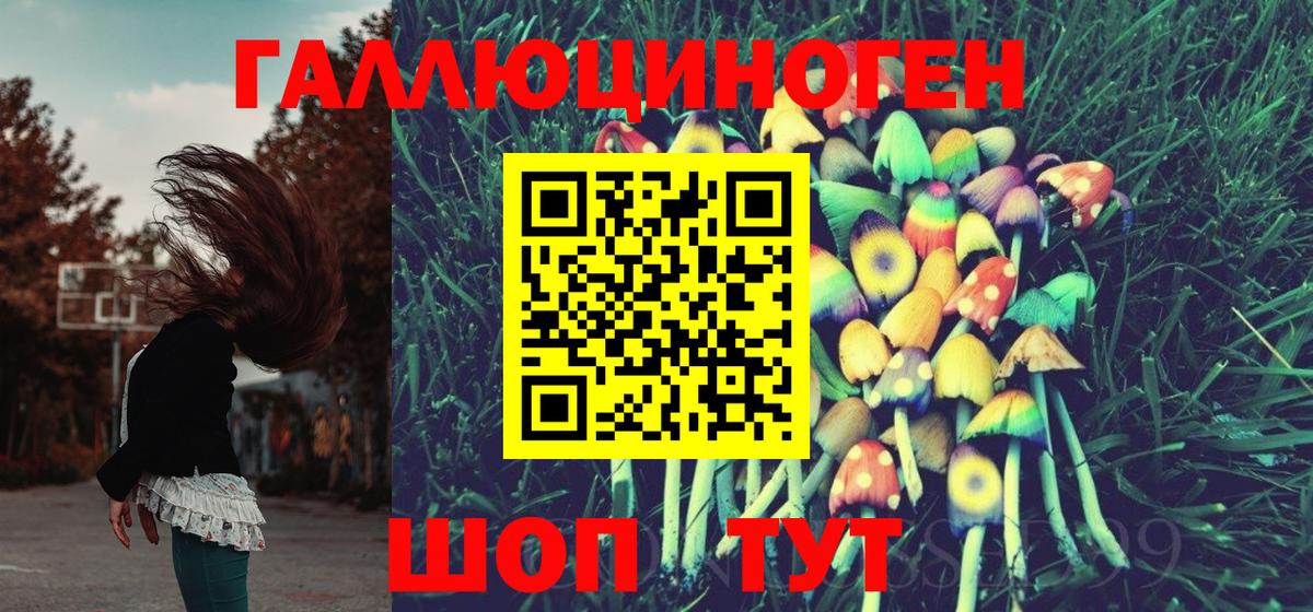 Галлюциногенные грибы GOLDEN TEACHER  Вход с VPN  Ялта 