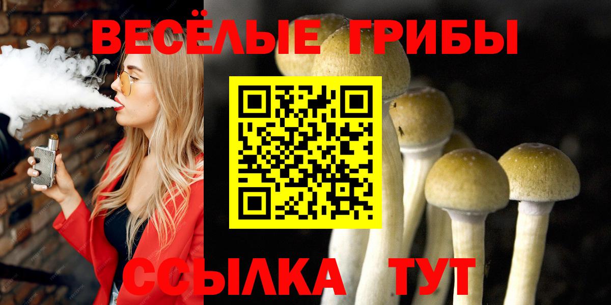 Галлюциногенные грибы Magic Shrooms Ялта
